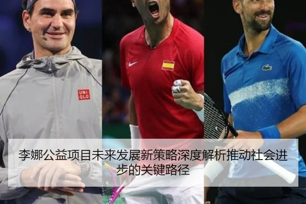 李娜公益项目未来发展新策略深度解析推动社会进步的关键路径