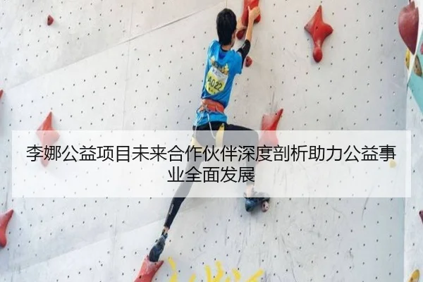 李娜公益项目未来合作伙伴深度剖析助力公益事业全面发展 - bifenzhibo
